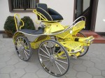 ergonomic marathon carriage